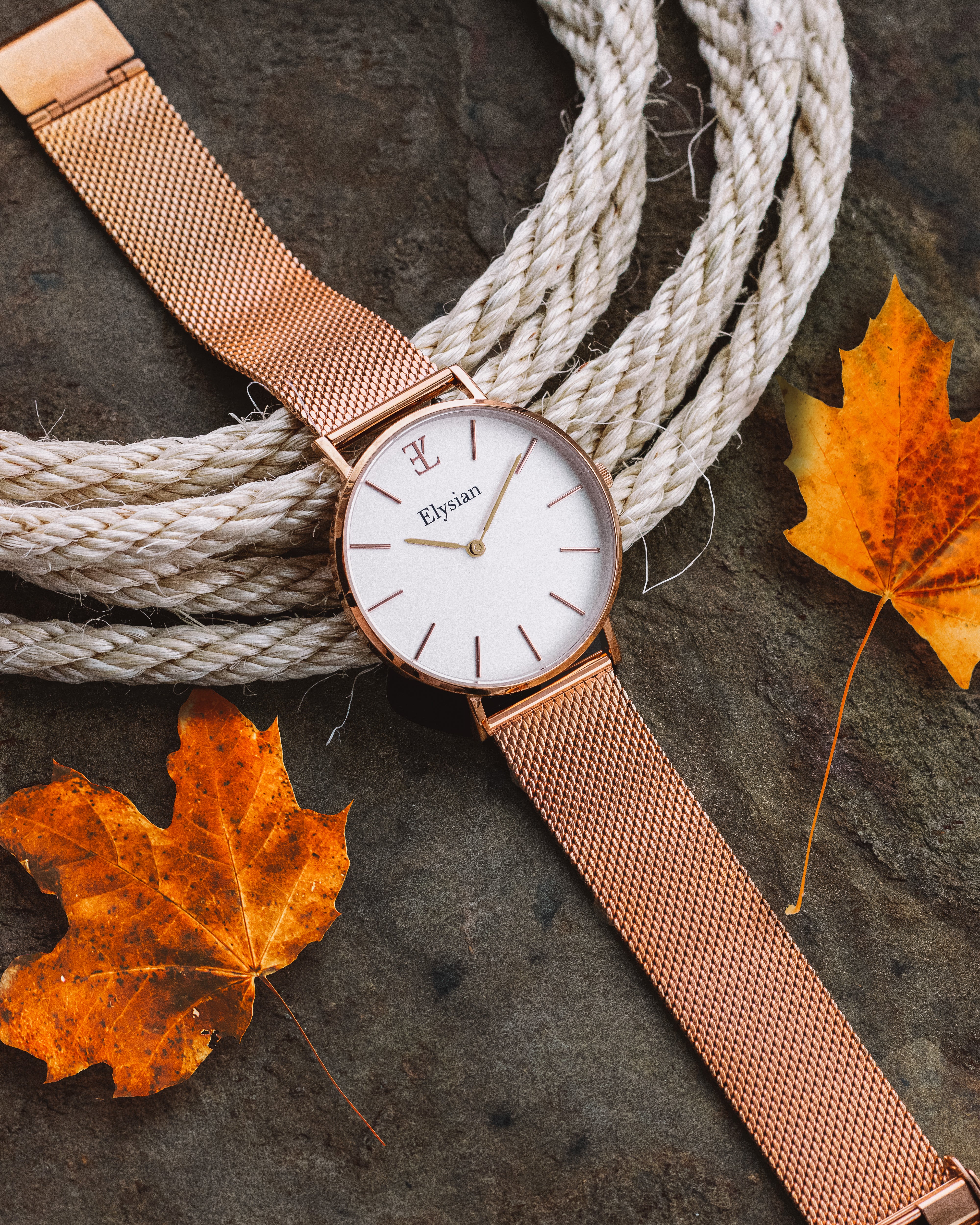 elysian-rose-gouden-dames-horloge-wit-plaat-rose-gouden-mesh-horlogeband-ELY01220-extra4