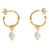 elysian-oorbel-goud-ELYEW0042-front_white